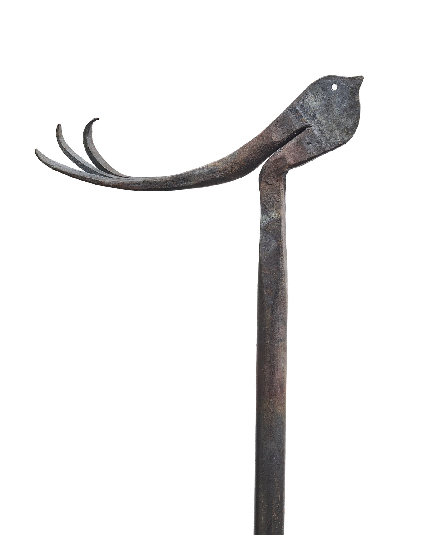 bird - large - oiled