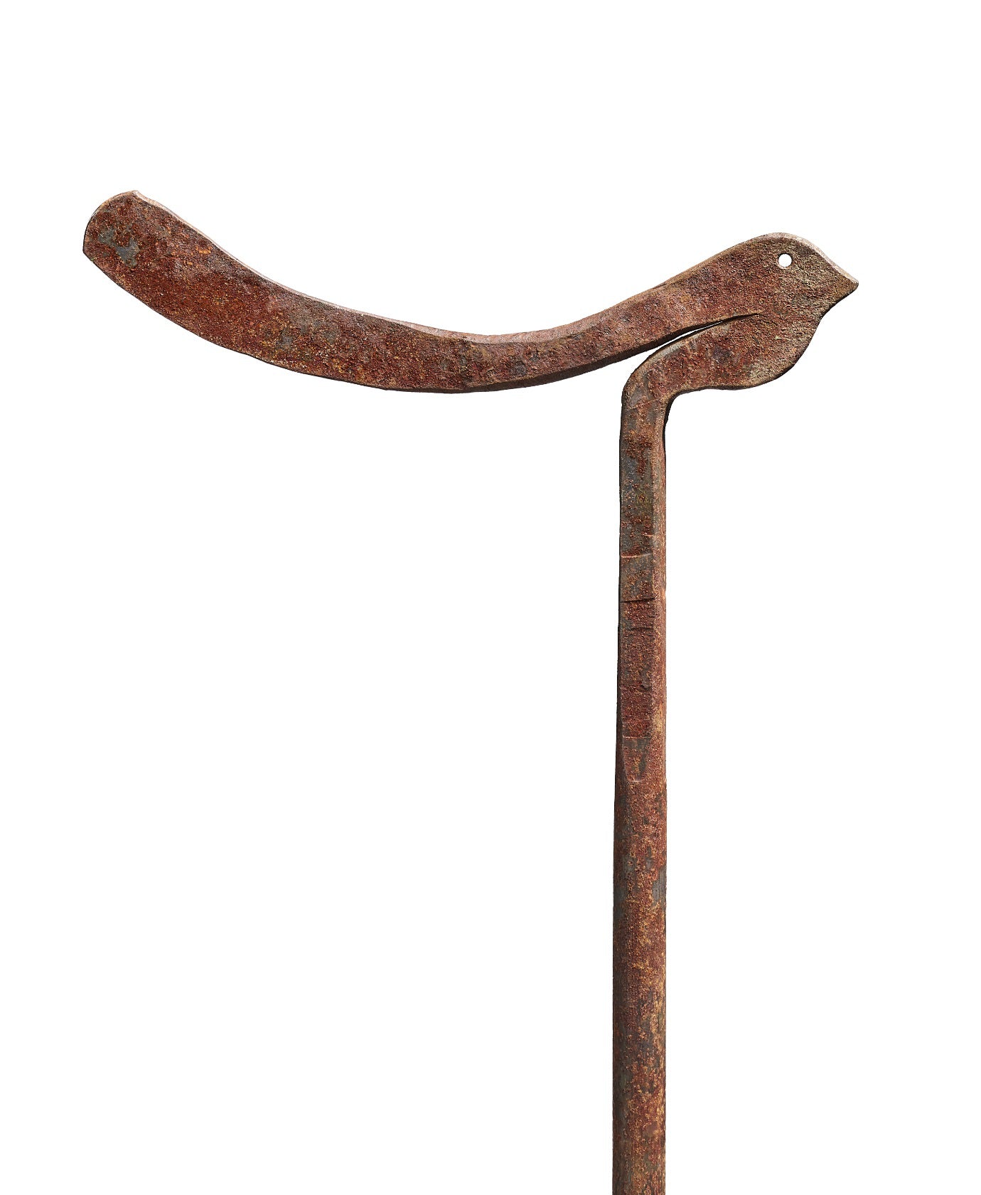 bird - raw steel - vertical
