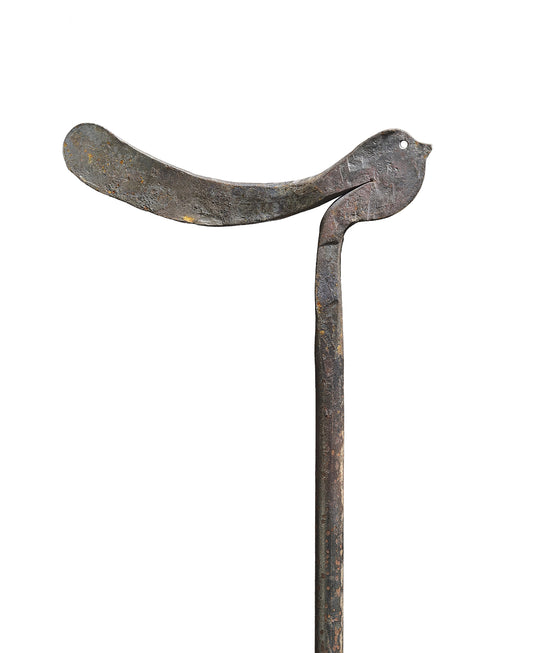 bird - small - oiled - vertical