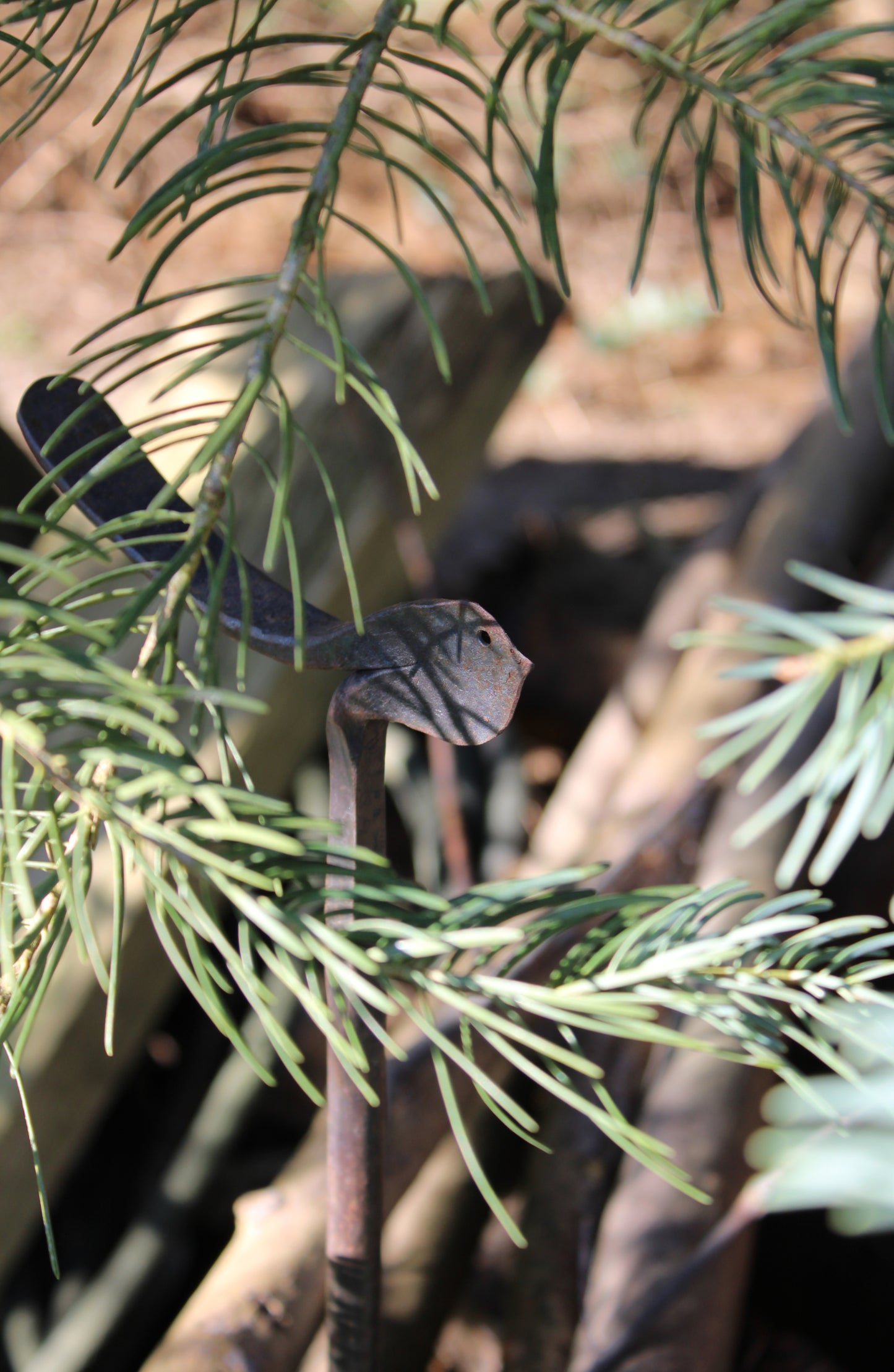 bird - small - oiled - horizontal