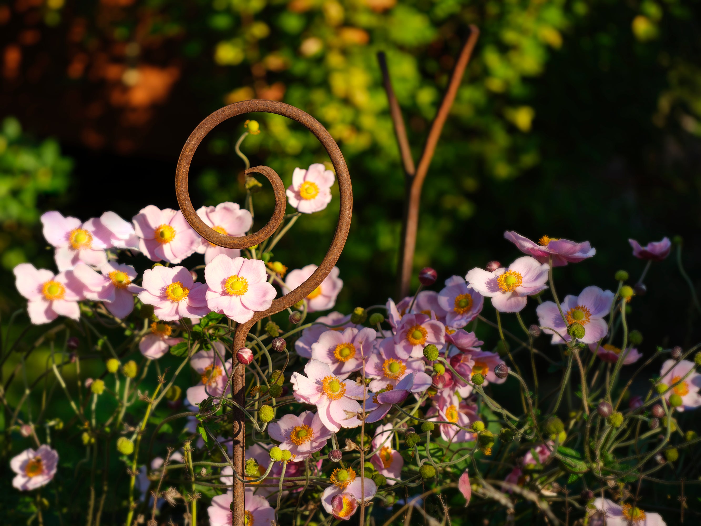Handgeschmiedeter Pflanzstab aus Metall im Garten